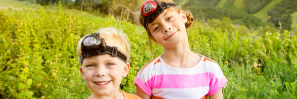 Banner web (2)