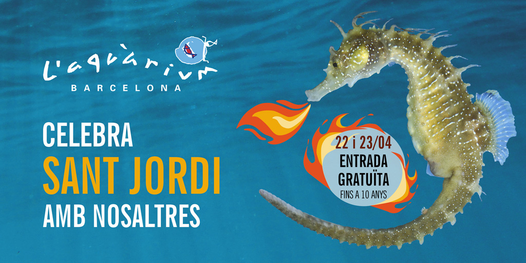 Sant Jordi l'Aquàrium Barcelona