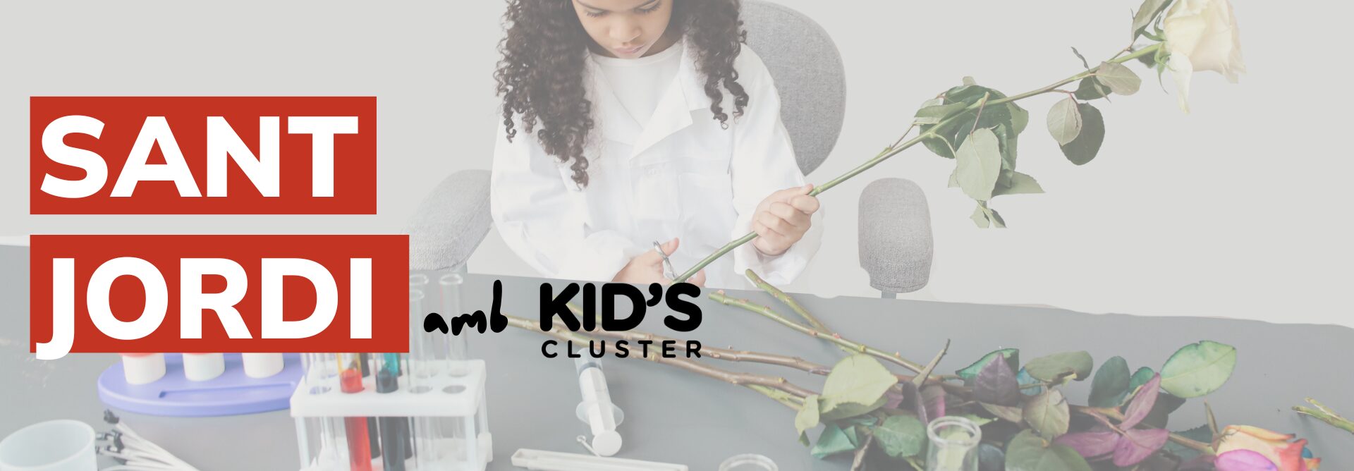 20240424_SANT JORDI 2024