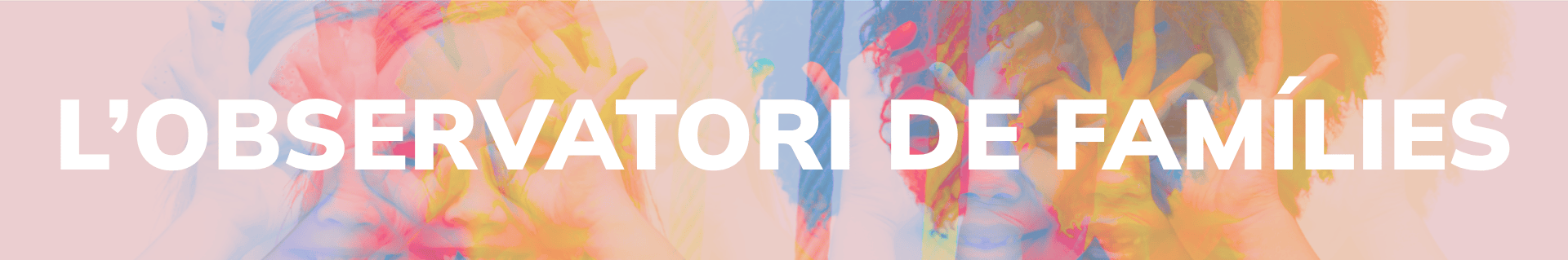 kif25_observatori families